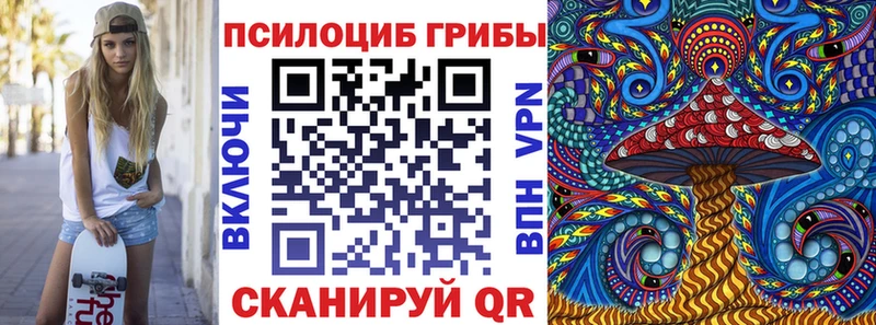 Псилоцибиновые грибы Cubensis  закладки  ОМГ ОМГ tor  Гусиноозёрск 